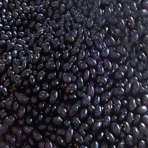 Alubias de Tolosa a granel. 500 g